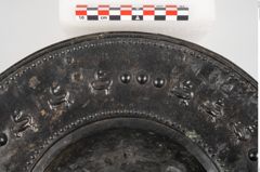 Foto von Bronzebreitrandfußschale (NHMW-PRAE-025274)